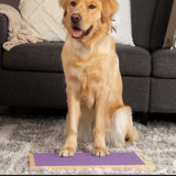Wooden Dog Nail Scratch Board Pet Paw Nail File Pad Grinding Safety Nail Trimmer Trainer Purple