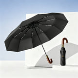 10-Rib Automatic Folding Umbrella Large Canopy Travel Umbrella Portable Rain Umbrella Black