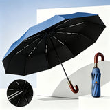 10-Rib Automatic Folding Umbrella Large Canopy Travel Umbrella Portable Rain Umbrella Blue
