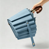 10-Rib Automatic Folding Umbrella Large Canopy Travel Umbrella Portable Rain Umbrella Blue
