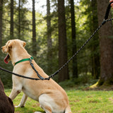 Adjustable Double Dog Leash with Comfortable Handle Reflective Rope for Walking Two Dogs Black