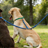 Adjustable Double Dog Leash with Comfortable Handle Reflective Rope for Walking Two Dogs Dark Blue