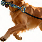 Dog Bungee Cord Rope Toys Set Interactive Tug-of-War Toy for Small Medium Dogs Teeth-Cleaning Toy