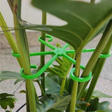 40Pcs Monstera Plant Support Clips 4 Sizes Tool-Free Slip-On Plant Stem Supports Plant Holders Green