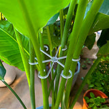 40Pcs Monstera Plant Support Clips 4 Sizes Tool-Free Slip-On Plant Stem Supports Plant Holders Transparent