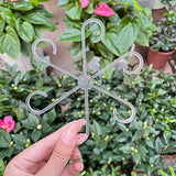 40Pcs Monstera Plant Support Clips 4 Sizes Tool-Free Slip-On Plant Stem Supports Plant Holders Transparent