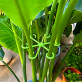 40Pcs Monstera Plant Support Clips 4 Sizes Tool-Free Slip-On Plant Stem Supports Plant Holders Green