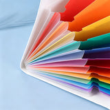 12-Pocket A4 Expanding File Organizer with Elastic Band Closure Rainbow Document Folder with Writable Tabs for School Office Home White