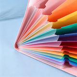 12-Pocket A4 Expanding File Organizer with Elastic Band Closure Rainbow Document Folder with Writable Tabs for School Office Home Pink