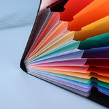 12-Pocket A4 Expanding File Organizer with Elastic Band Closure Rainbow Document Folder with Writable Tabs for School Office Home Black