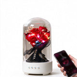 3-in-1 Preserved Flower Bluetooth Speaker with LED Night Light Bluetooth 5.3 Wireless Speaker Rechargeable Music Lamp Red Rose