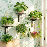 2Pcs Wall Mounted Bird Feeder Trays with Hook Bird Bath Trays for Garden Balcony Patio Fence