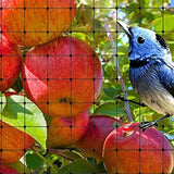 Bird Netting Mesh Cover for Fruit Trees Ponds & Agricultural Use