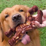 Indestructible Nylon Dog Chew Toy for Aggressive Chewers