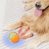 Interactive Pet Rolling Ball Toy Rechargeable Automatic for Cats and Dogs Orange