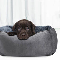 Plush Pet Bed Raised Sides Soft Calming Sleeping Puppy Cuddler Gray