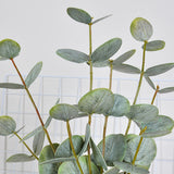 Artificial Eucalyptus Stems in Glass Vase with Faux Water for Home Decor Coffee Table Centerpieces Decorations Green