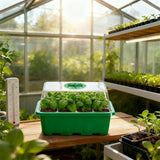 5Pcs 12 Cell Seed Starter Trays for Growing Seeds