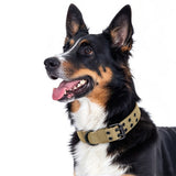 Padded Nylon Dog Collar Leash Set Adjustable for Large Dogs Khaki