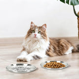 4Pcs Stainless Steel Pet Bowls Durable Shallow Pet Feeding Dishes Easy to Clean Silver