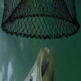 Fishing Bait Cage Trap Collapsible with Pull Rope for Pond Lake