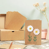 20 Sets Blank Cards with Self Seal Envelopes for Greetings Brown