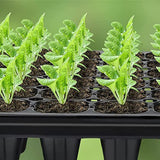 10-Pack Deep Cell Seed Starter Trays for Plant Nursery and Gardening