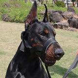 Adjustable Dog Head Collar with Padded Nose Loop for Gentle Control and Training