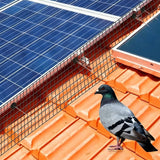 PVC Wire Mesh Barrier for Solar Panels Bird Rodent Deterrent