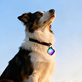 2PCS Pet Collar Clip Light LED for Dogs Cats Night Outdoor Walks