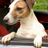 12 Colors Pet Nail Polish Marker Pens Set for Dogs and Cats