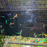 8 PCS Plastic Aquarium Grid Divider Set for Fish Tanks and Breeding Black