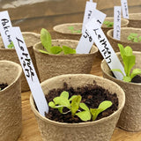 300PCS 10×2cm White Plastic Plant Labels Garden Name Tags