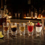 12 PCS Shot Glasses Set with Heavy Base Clear Shot Glasses Bulk for Vodka Tequila Whiskey Liquor