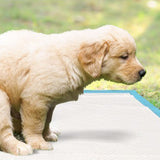 200 PCS 60x60cm Five Layer Super Absorbent Puppy and Dog Training Pads