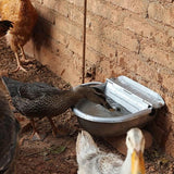 304 Stainless Steel Cattle Water Bowl 4L Automatic with Drain Hole