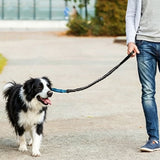 2 in 1 Double Leash for Dogs No Tangle Bungee Dog Leash Reflective Comfortable Padded Handles Blue