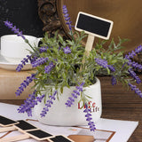 10 Mini Chalkboard Stakes for Garden Indoor Plant Planter