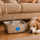 12L Pet Water Fountain Stainless Steel Quiet Pump for Large Dogs