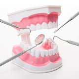 Professional Dental Tool Kit 6 Piece Stainless Steel Oral Care Set Pink