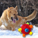 Dog Snuffle Ball Slow Feeder Puzzle Toy for Treats and Snacks Red