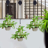 2Pcs Adjustable Plant Pull-Down Hangers Hanging Basket Hook for Indoor Outdoor Use