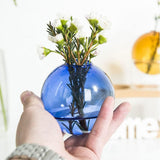 2Pcs Tabletop Glass Ball Vase Flower Planter Pot Terrarium Container Home Decoration Style 1
