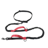 2 in 1 Double Leash for Dogs No Tangle Bungee Dog Leash Reflective Comfortable Padded Handles Red