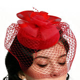 Birdcage Veil Bridal Headpiece Vintage Mesh Rose Hair Accessory Red