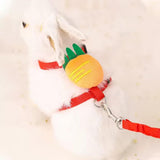 4Pcs Adjustable Bunny Rabbit Harness and Leash Set Small Pet Cute Vest Harness Leash for Bunny Small Pets