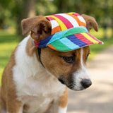 Pet Baseball Cap with Ear Holes Adjustable Strap for Dogs Cats Rainbow