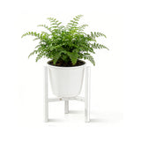 Adjustable Plant Stand for Diameter in 23-32cm Pots White