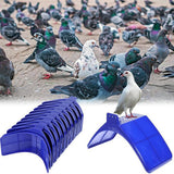 10PCS Pigeon Roost Perch Stand for Dove Birds