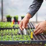 10-Pack Deep Cell Seed Starter Trays for Plant Nursery and Gardening